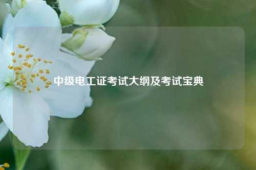 中级电工证考试大纲及考试宝典-图1