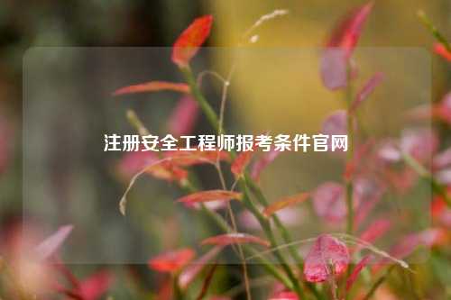注册安全工程师报考条件k8凯发国际登录官网-图1